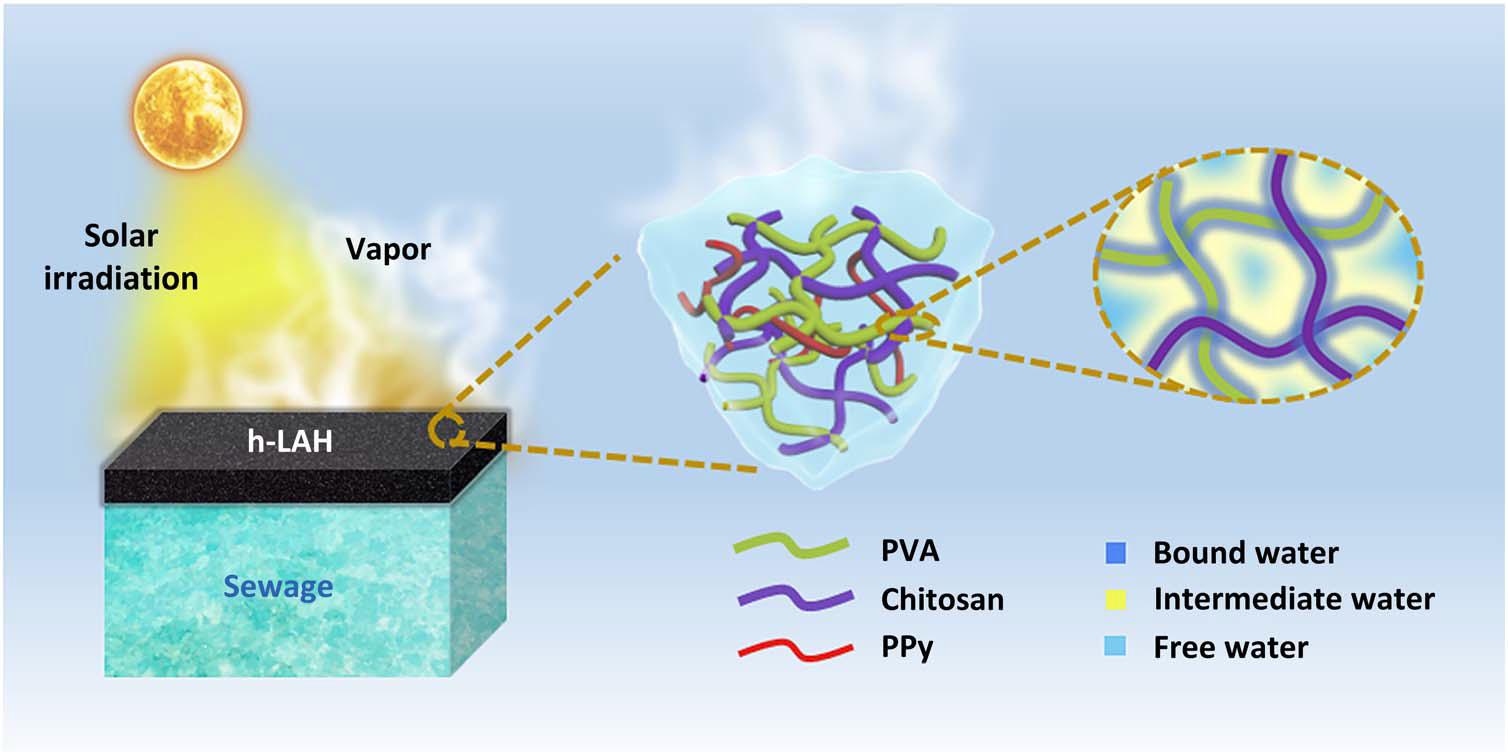 Mechanism of Solar distillation with hydrogel