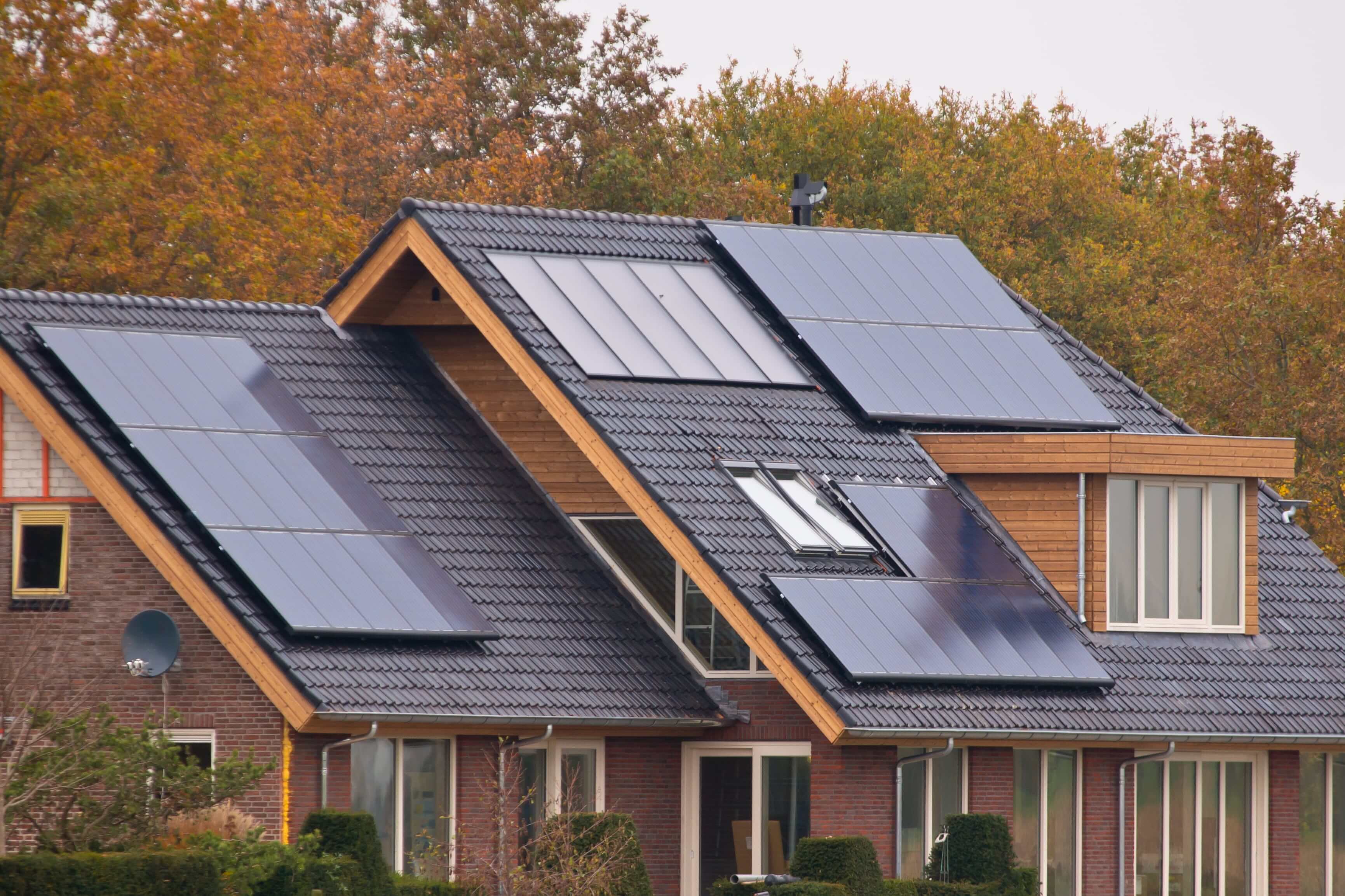 Solar Panel Cleaning