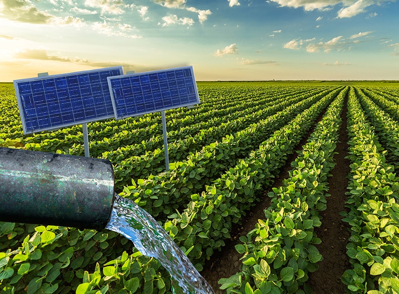 Solar Water Pumping